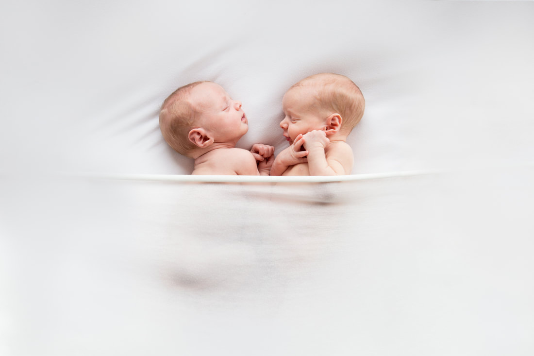 Newborn Twin Boys Photo shoot, Albena Ilieva Photography, February 2018, San Francisco