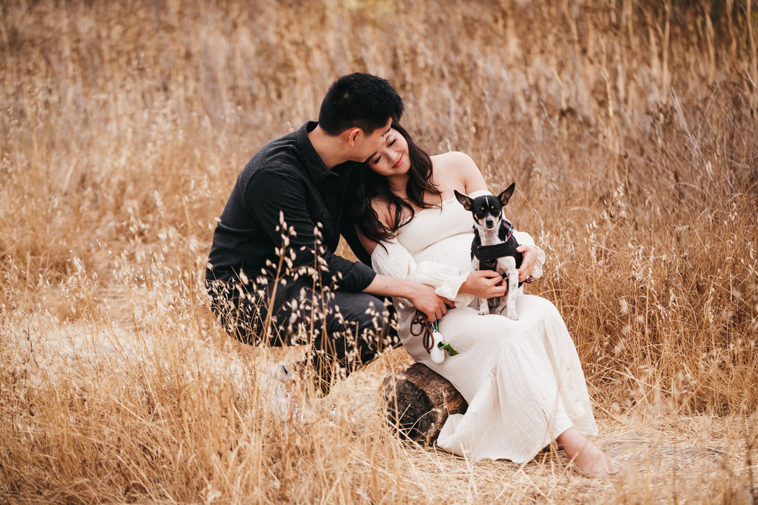 Picture from professional photo session of expecting couple and a small dog hugging in a field