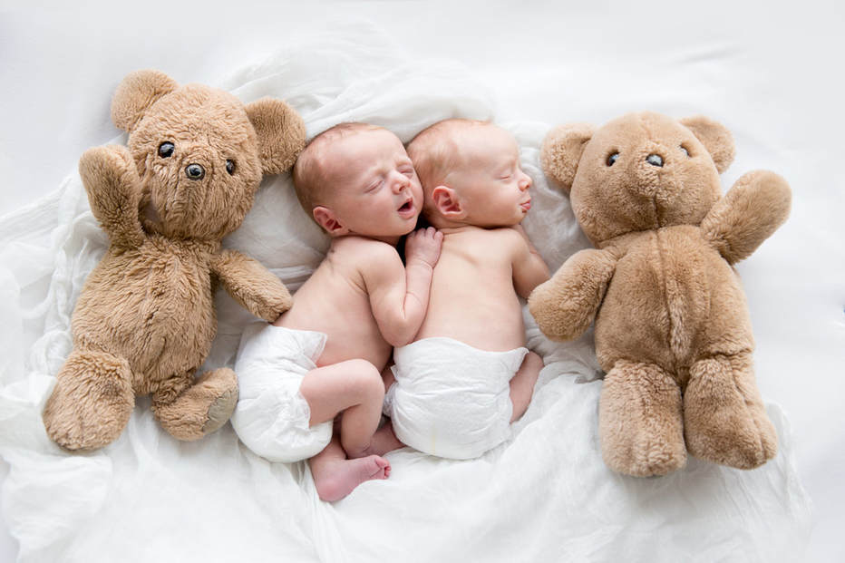 Mom's old Teddy bear and Newborn Twin Boys Photo shoot, Albena Ilieva Photography, February 2018, San Francisco